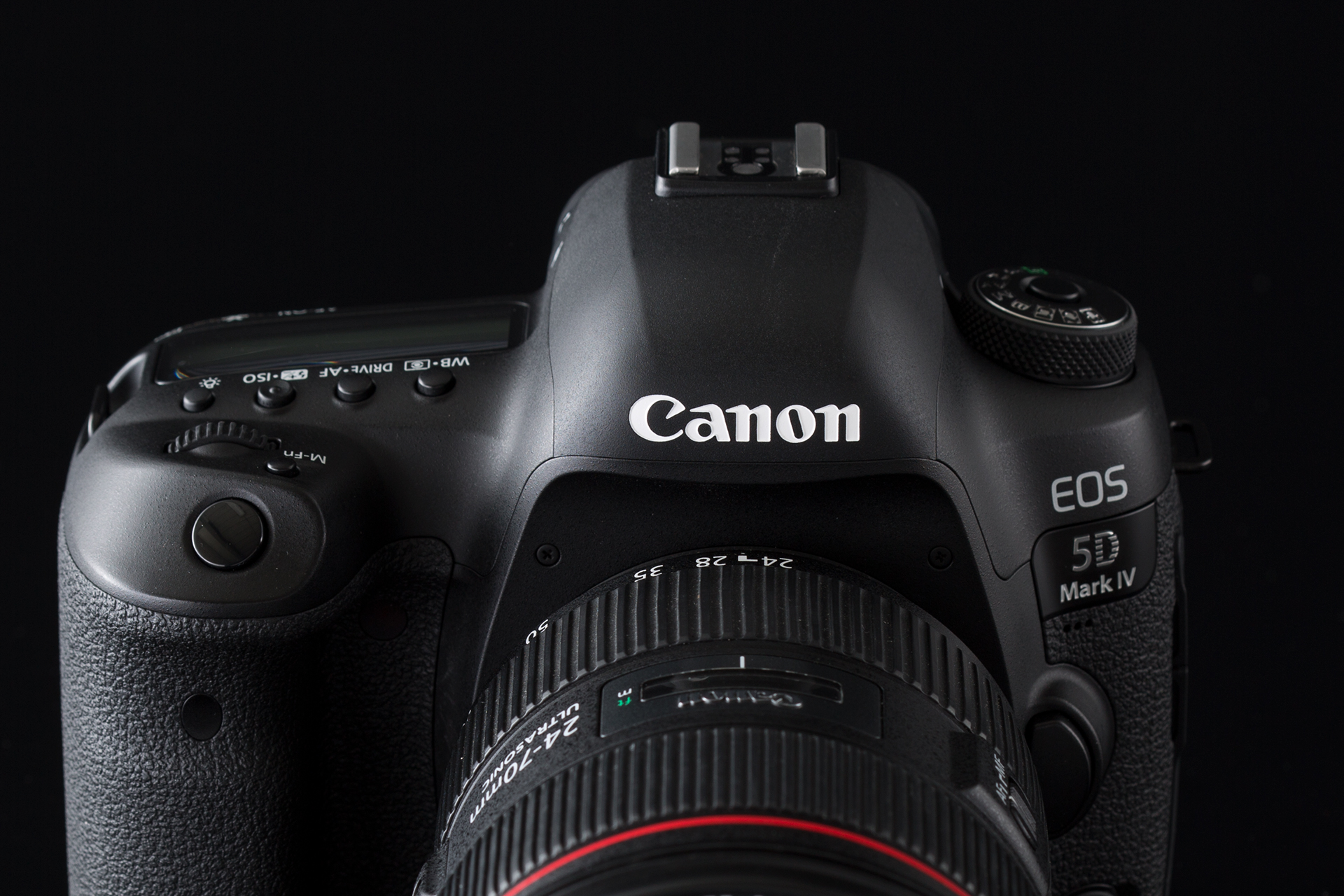 Canon（キヤノン） EOS 5D Mark IV 実写レビュー | フォトヨドバシ