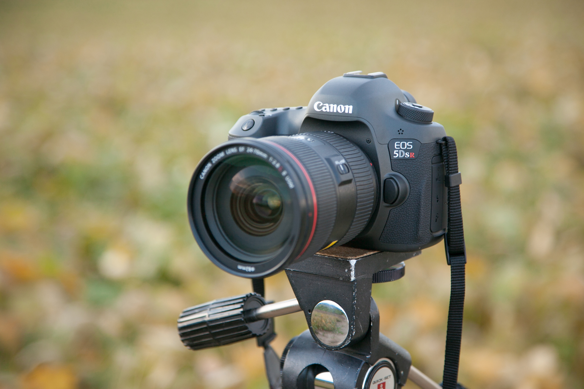 Canon（キヤノン） EOS 5Ds R 実写レビュー | フォトヨドバシ