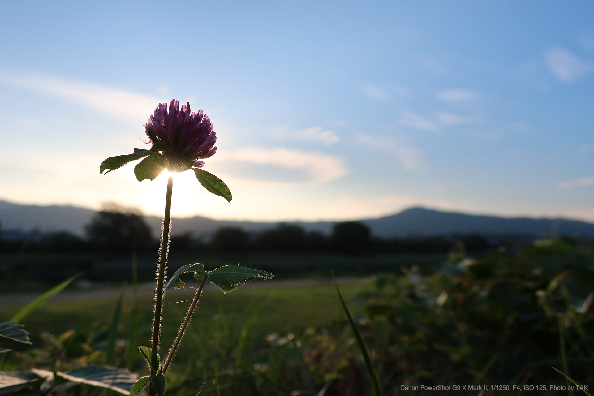 ◆美品◆ キヤノン PowerShot G9 X MARK II