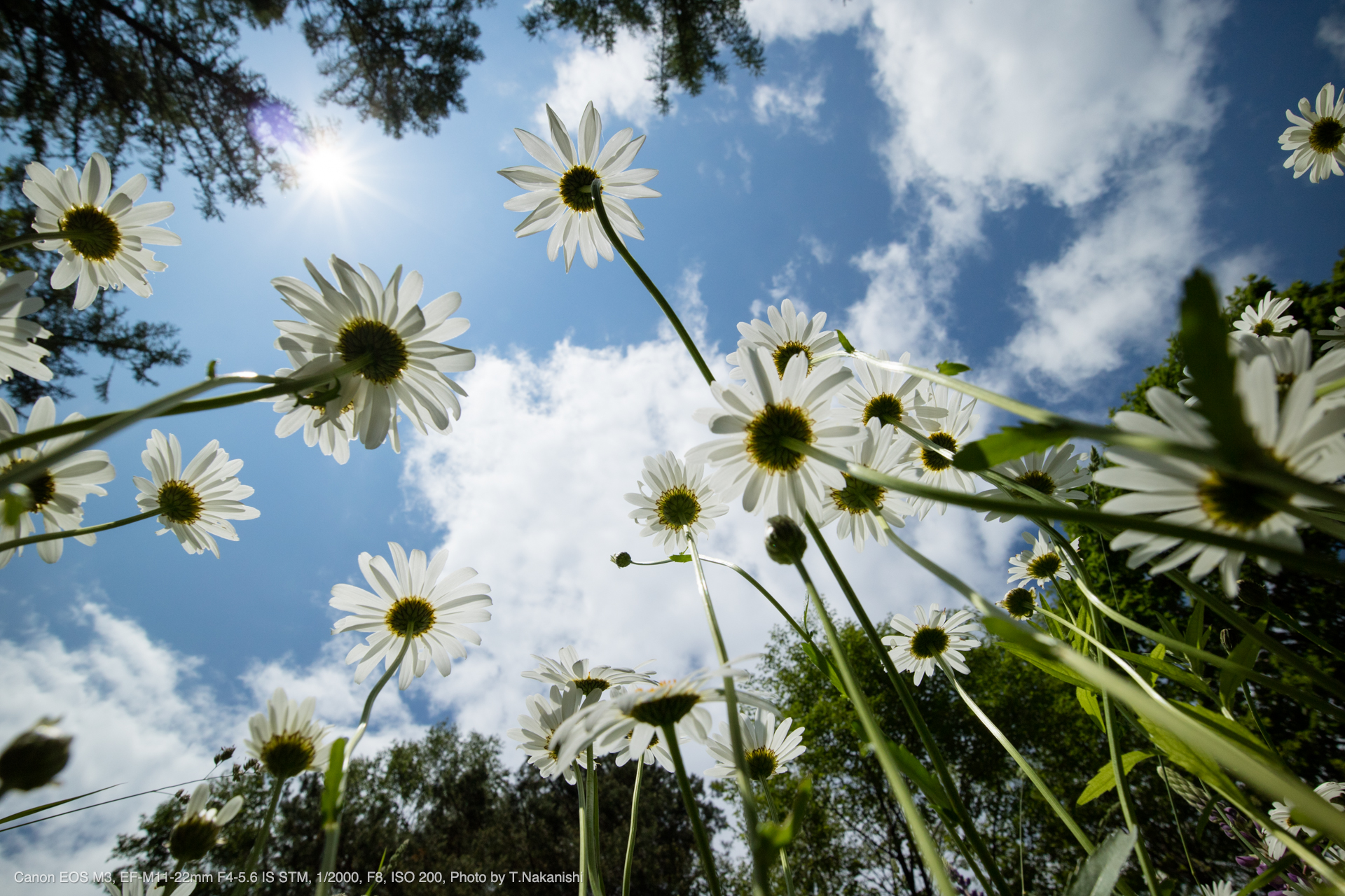 Canon EOS M3, EF-M11-22mm F4-5.6 IS STM, 1/2000, F8, ISO 200, Photo by T.Nakanishi