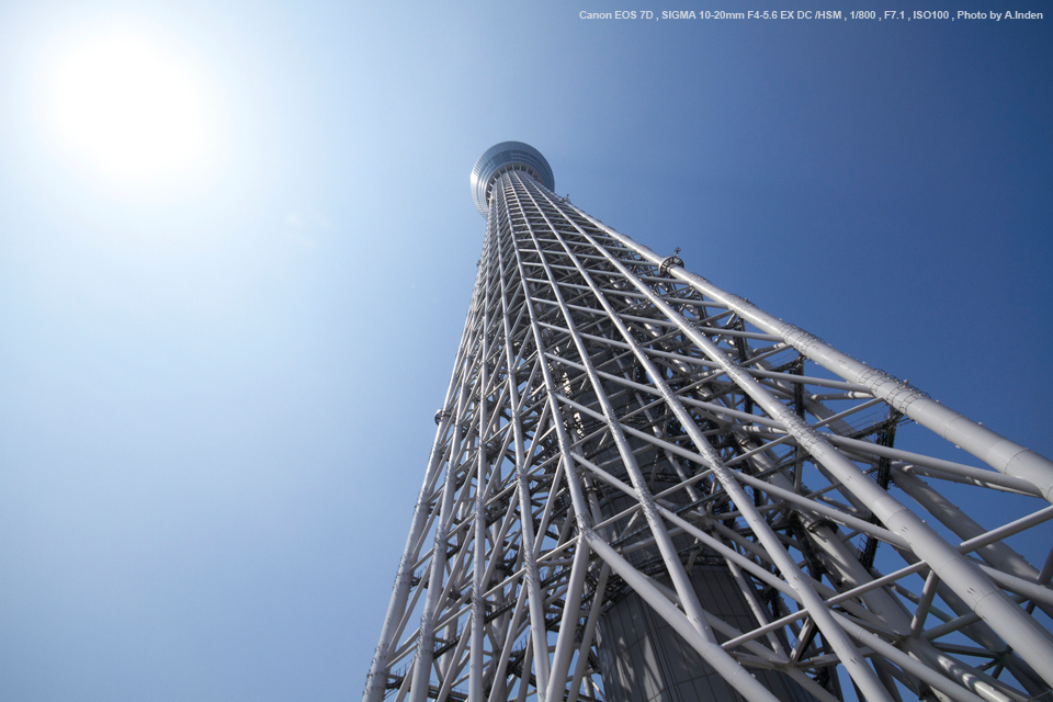 SIGMA  10-20mm F4-5.6 EX DC HSM (Nikon用)