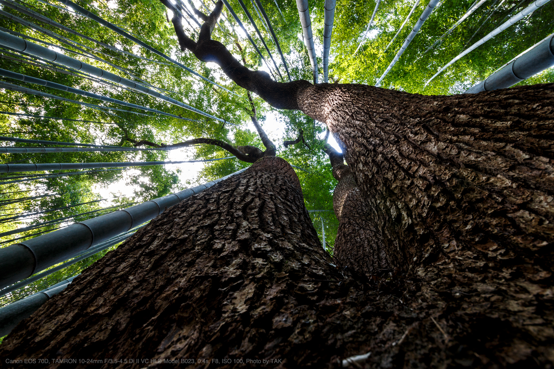 Canon EOS 70D, TAMRON 10-24mm F/3.5-4.5 Di II VC HLD Model B023, 0.4s, F8, ISO 100, Photo by TAK