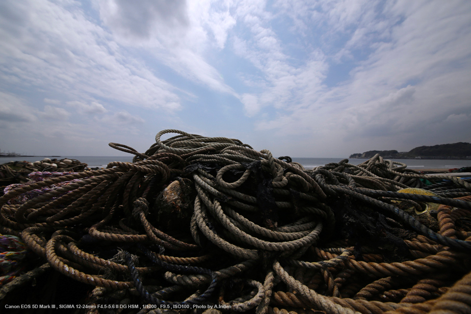 SIGMA 12-24mm F4.5-5.6 Ⅱ DG HSM キャノンEF