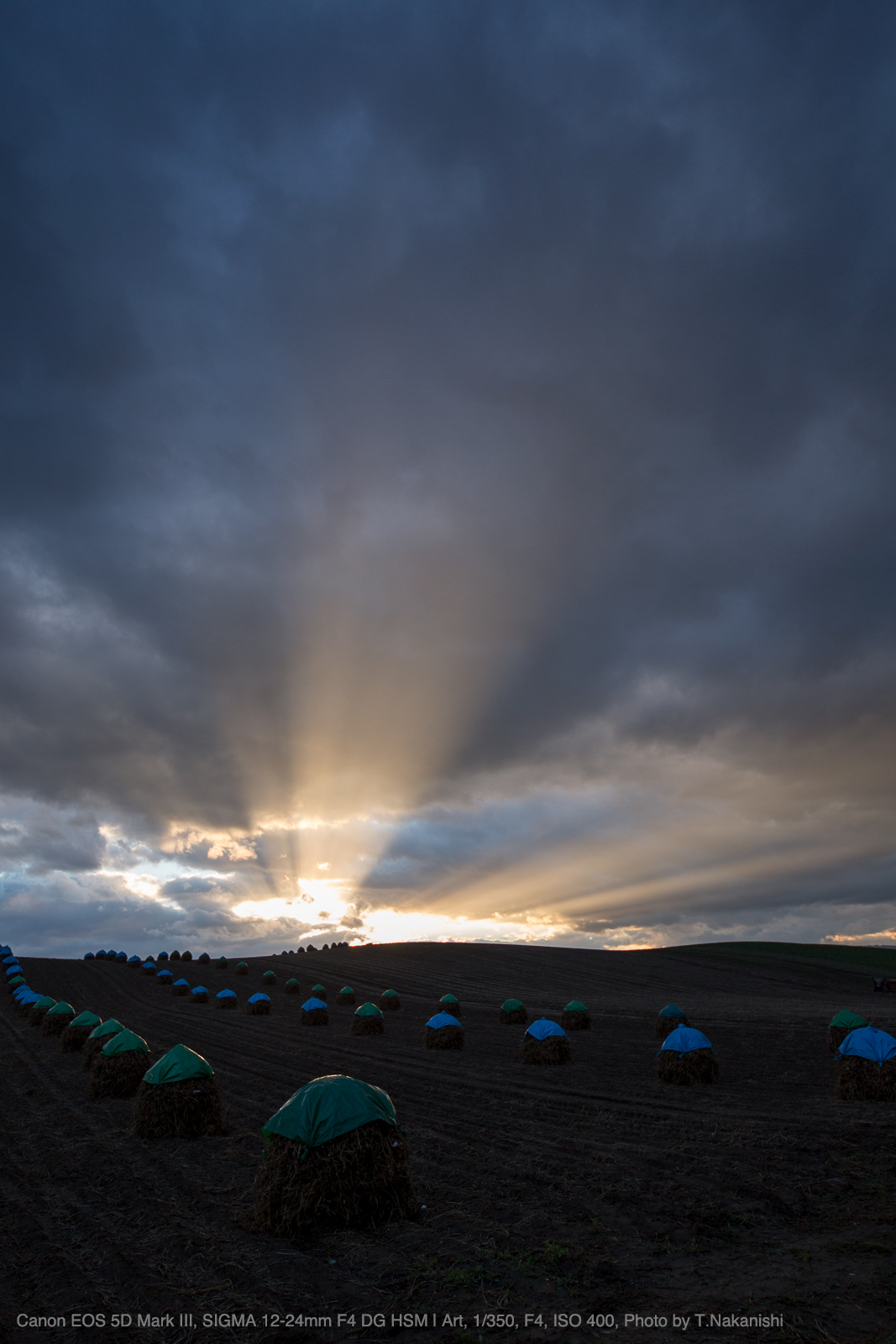 Canon EOS 5D Mark III, SIGMA 12-24mm F4 DG HSM | Art, 1/350, F4, ISO 400, Photo by T.Nakanishi