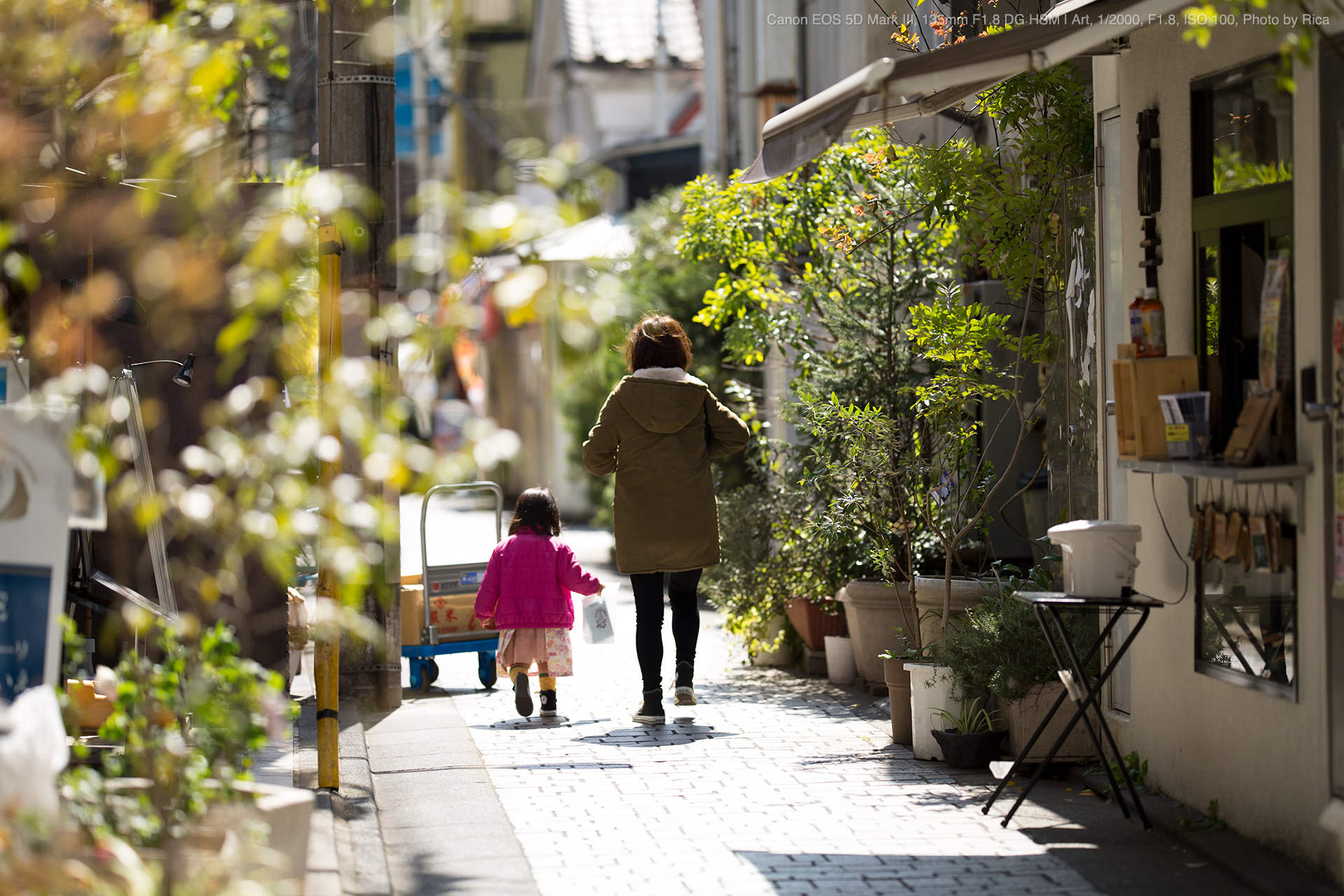 SIGMA 135mm F1.8 DG HSM Art 「SONY Eマウント」