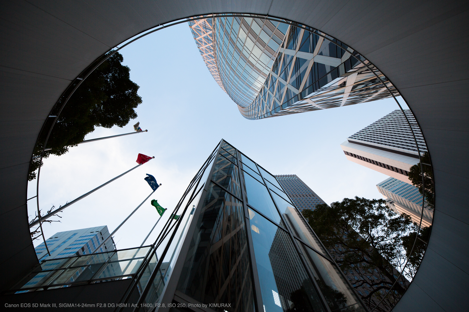 SIGMA キヤノンEFマウント 14-24mm F2.8 DG HSM Art