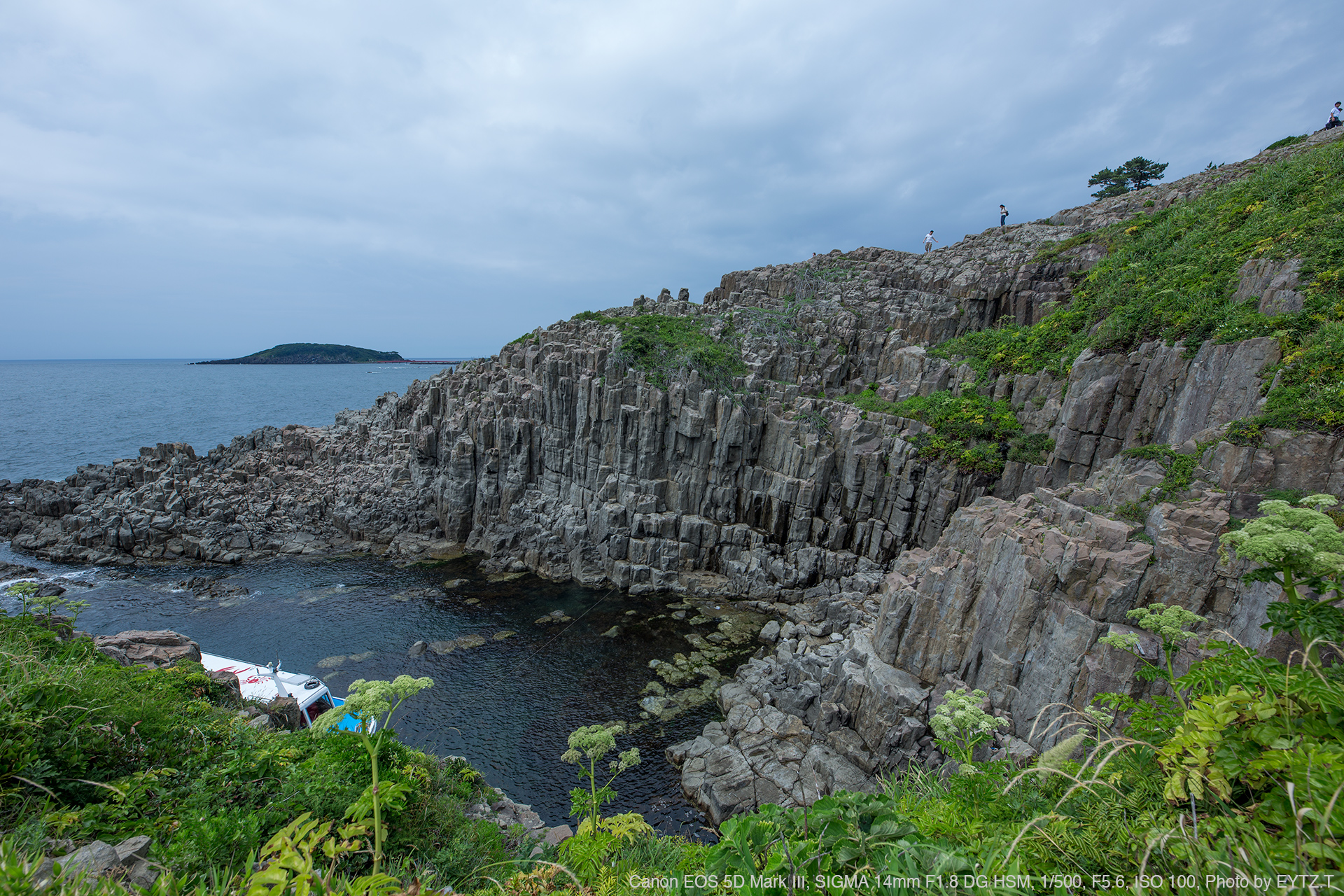 新品級 Sigma シグマ Art 14mm F1.8 DG HSM Nikon