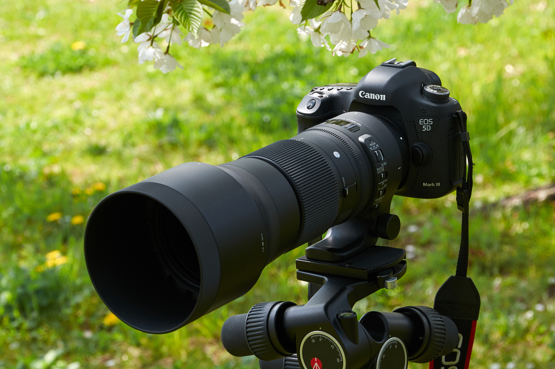 SIGMA 150-600mm F5-6.3 DG OS HSM | Contemporary C015 | Canon EF