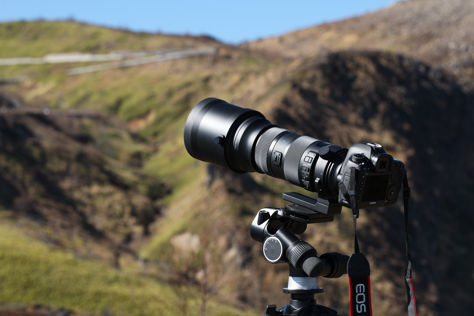 SIGMA 150-600mm F5-6.3 DG OS HSM | Sports SHOOTING REPORT | PHOTO