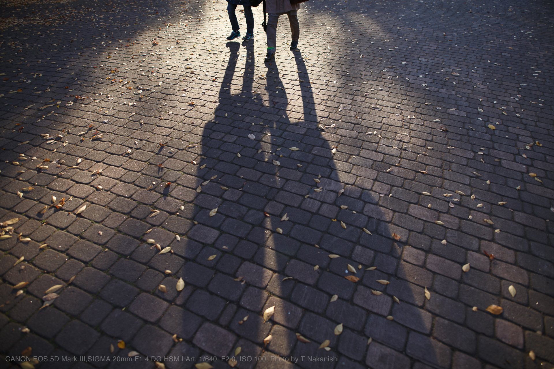 SIGMA（シグマ） 20mm F1.4 DG HSM | Art 実写レビュー | フォト