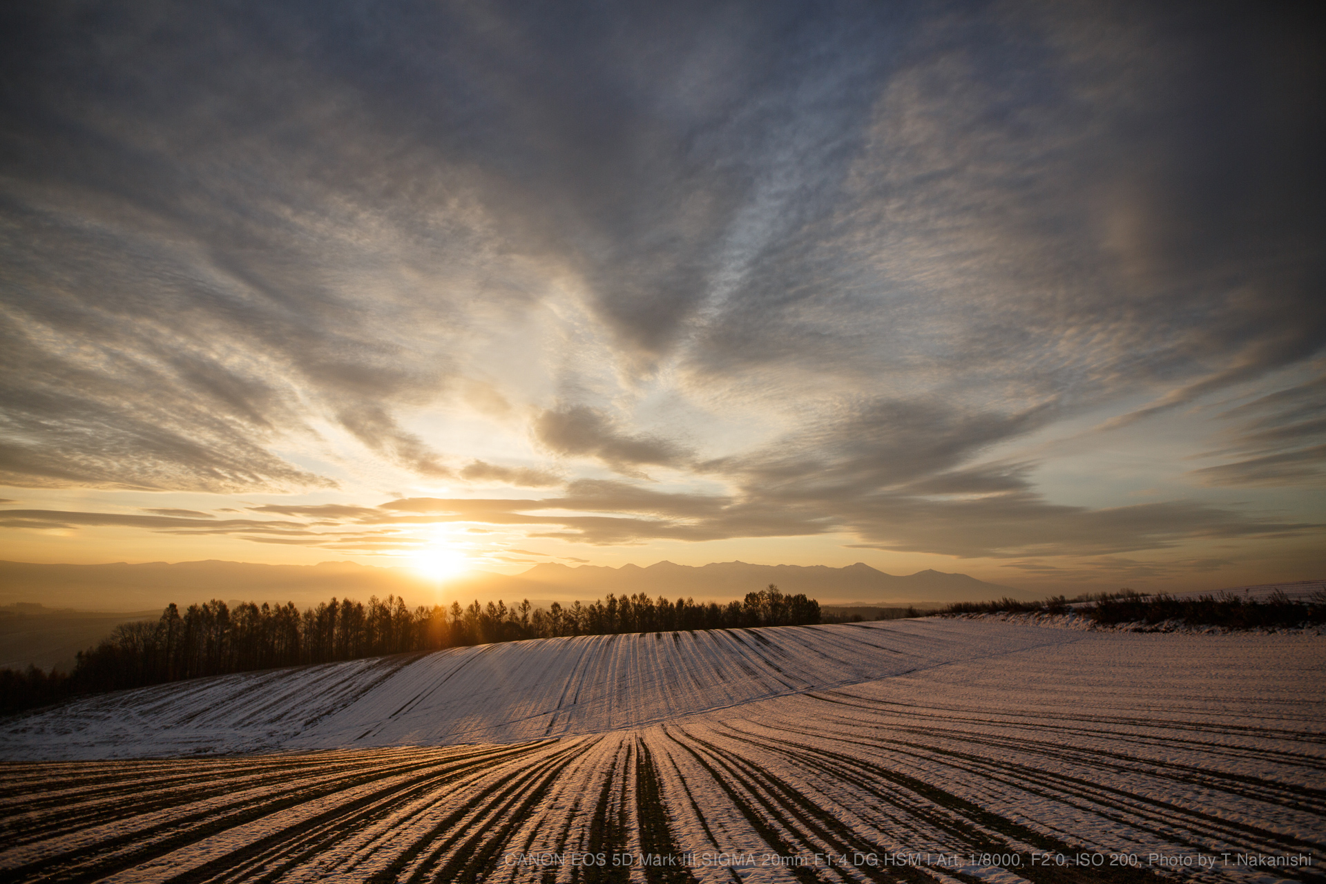 SIGMA 20mm F1.4 DG HMS Art キヤノンEFマウント | www.ofa.sg