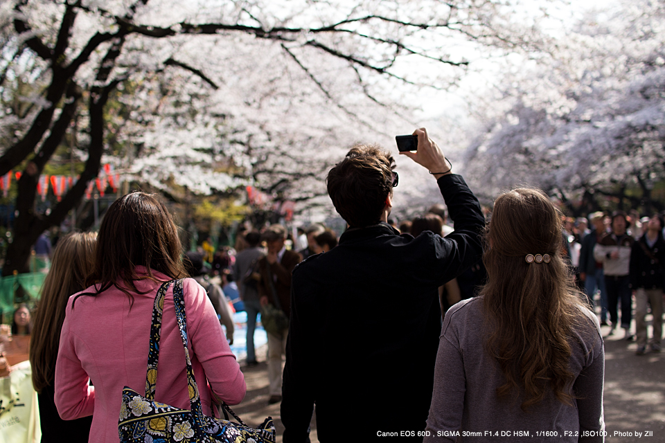 SIGMA（シグマ） 30mm F1.4 DC HSM | Art 実写レビュー | フォトヨドバシ