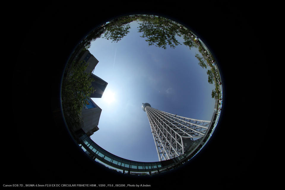 SIGMA 単焦点魚眼レンズ 4.5mm F2.8 EX DC CIRCULAR FISHEYE HSM