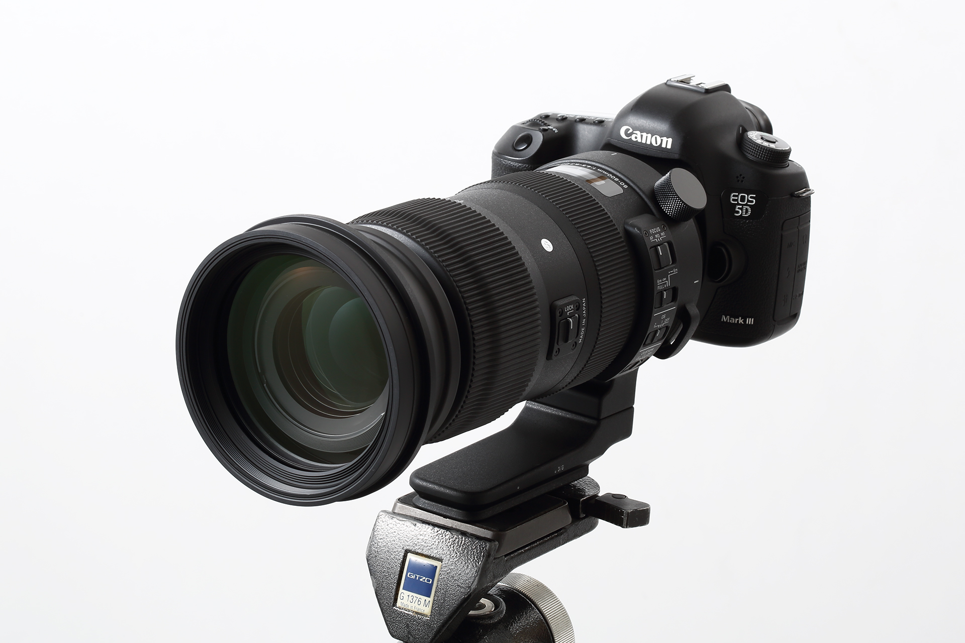 Canon EOS 5D Mark III + SIGMA 60-600mm F4.5-6.3 DG OS HSM | Sports