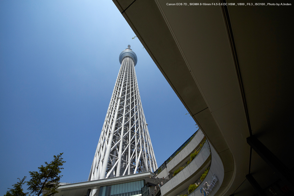 SIGMA 8-16mm F4.5-5.6 キャノン用