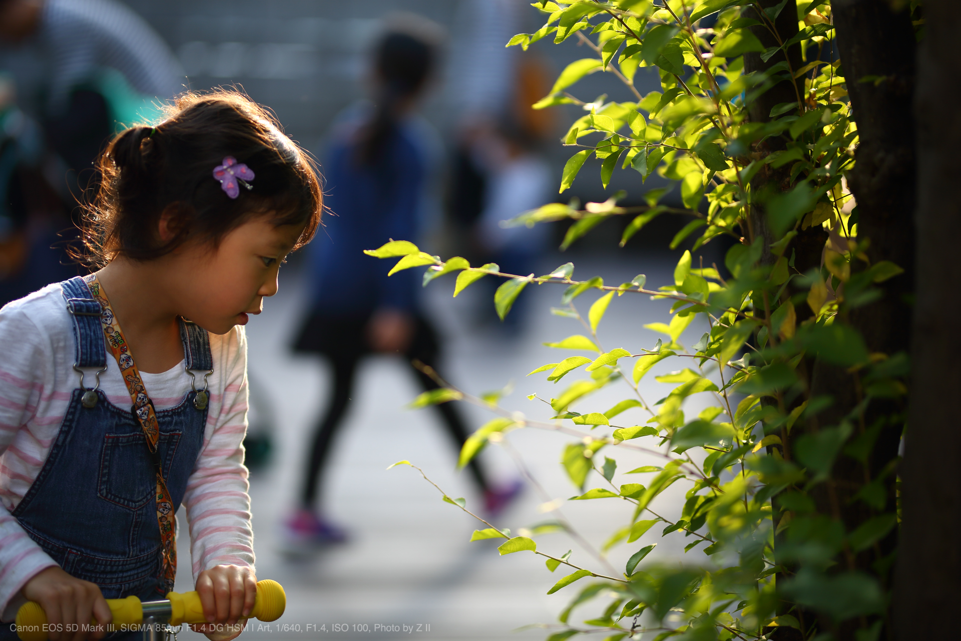 SIGMA 85mm F1.4 DG HSM Art キャノン用