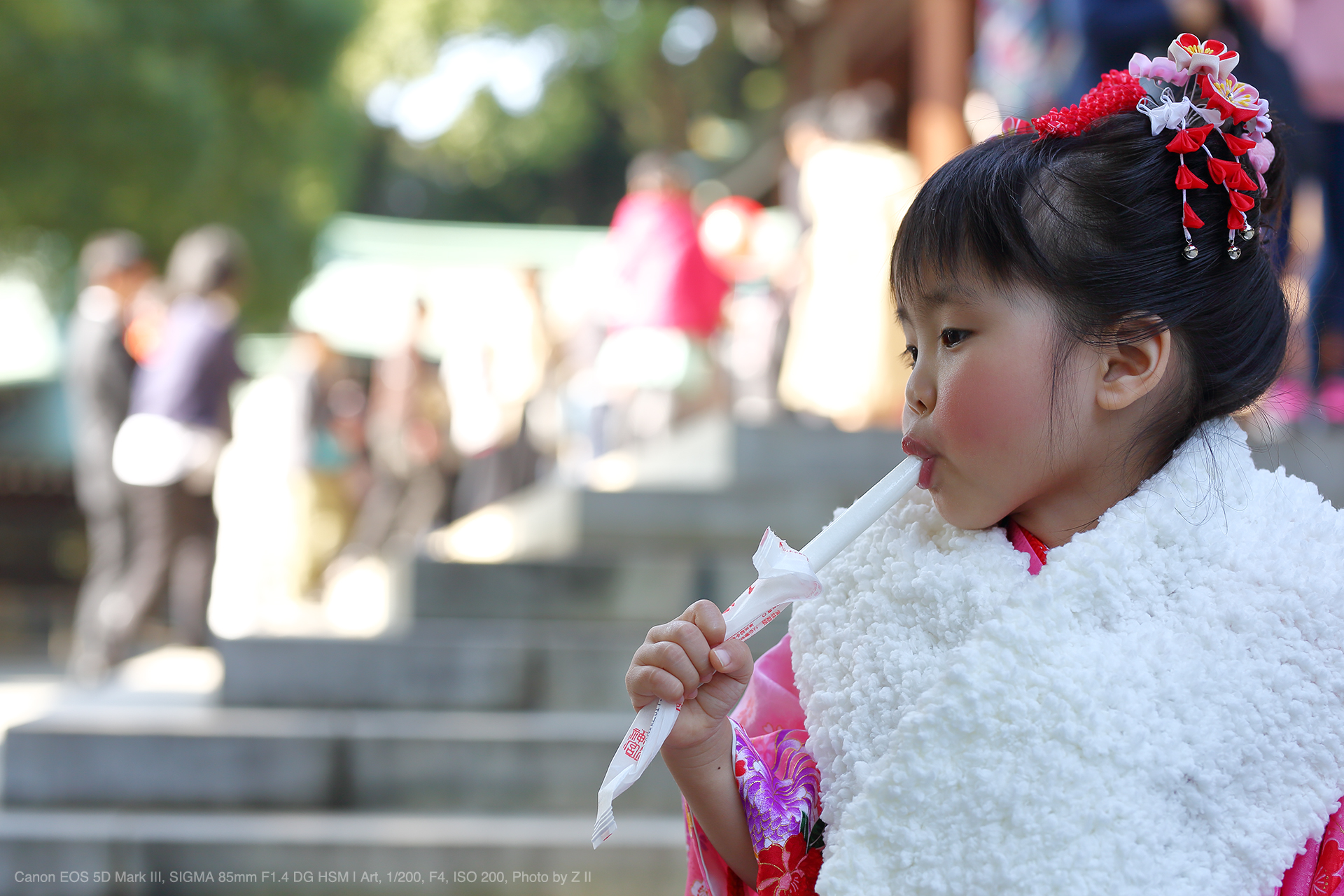 sigma シグマ 85mm F1.4 Art キヤノンEF canon