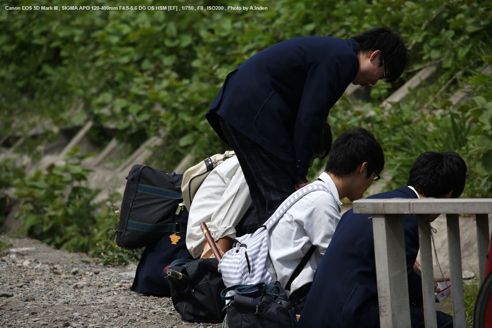 SIGMA（シグマ） APO 120-400mm F4.5-5.6 DG OS HSM 実写レビュー