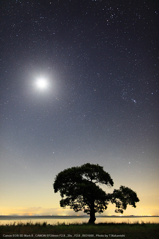 ■広角 単焦点レンズ　Canon EF 24mm F2.8