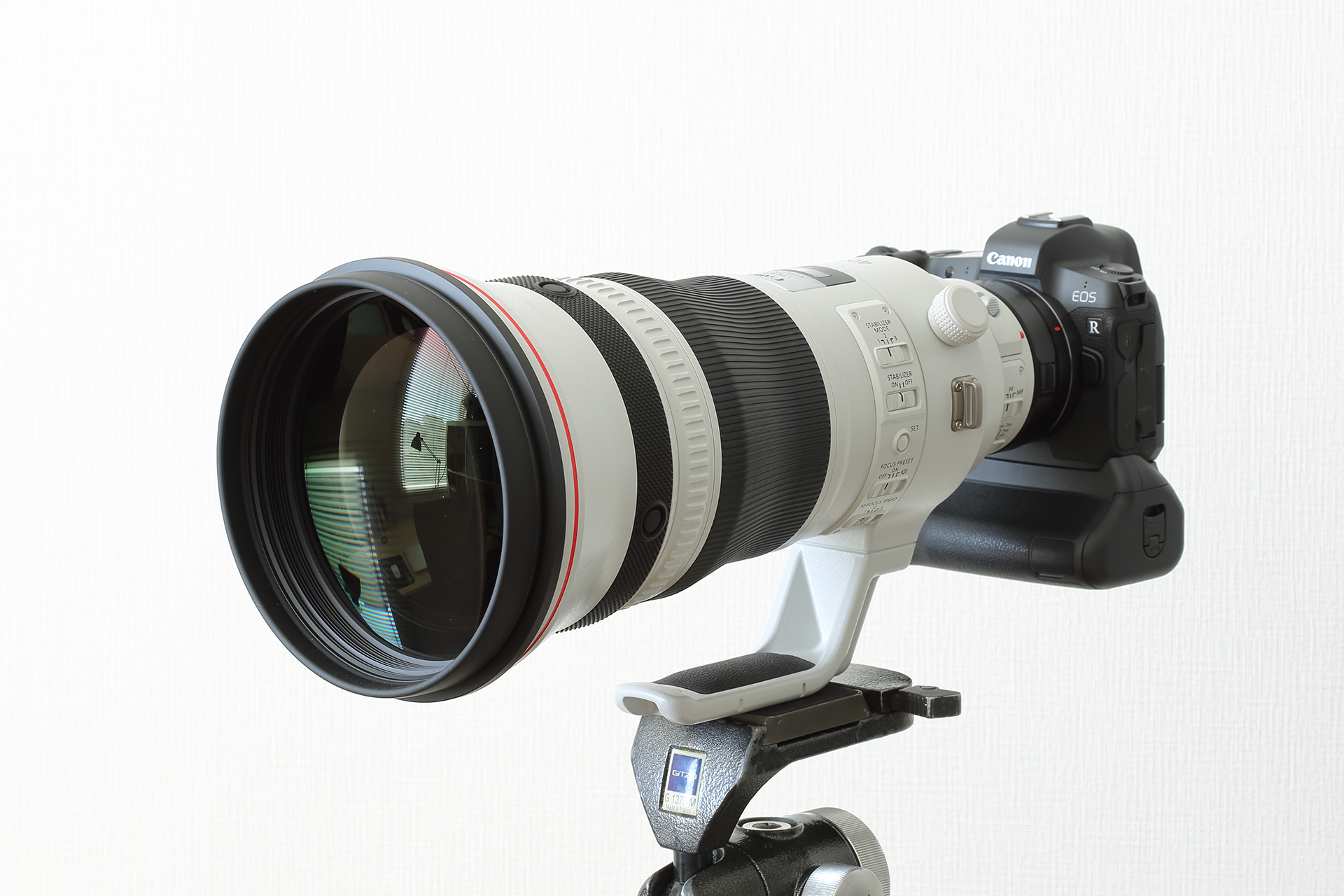 Canon EOS R, Canon EF400mm F2.8L IS III USM, Photo by Z II