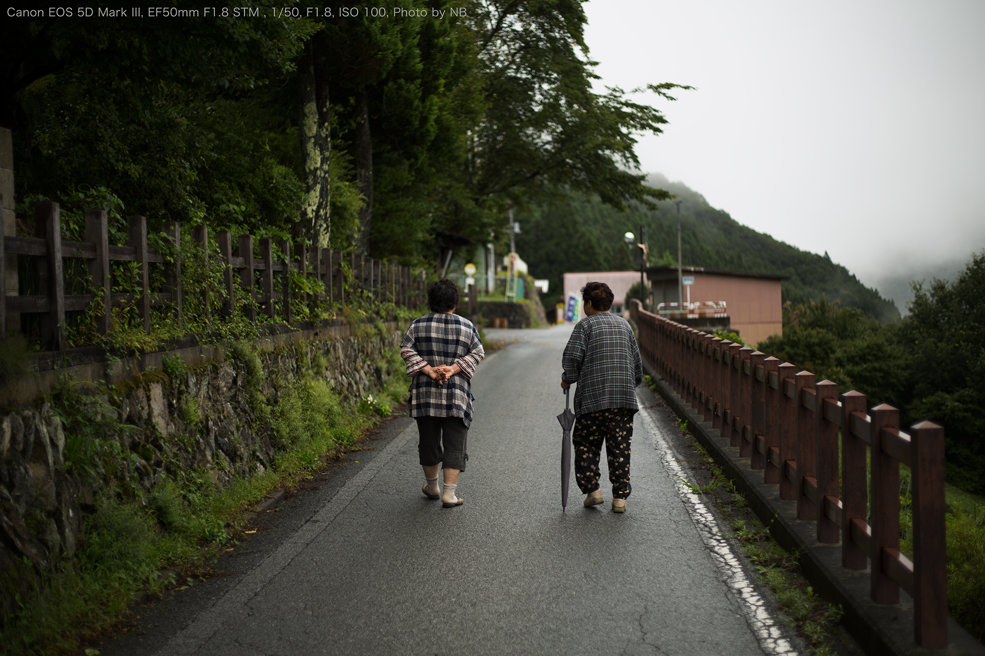 Canon EF50mm F1.8 STM SHOOTING REPORT | PHOTO YODOBASHI