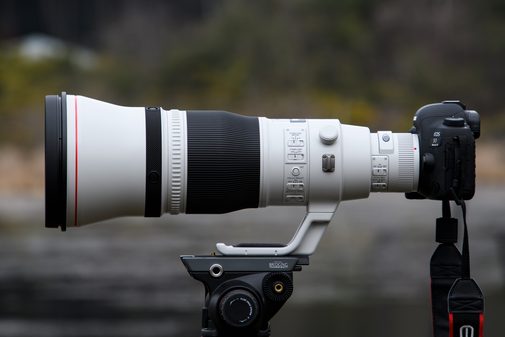 Canon（キヤノン） EF600mm F4L IS III USM 実写レビュー | フォトヨドバシ