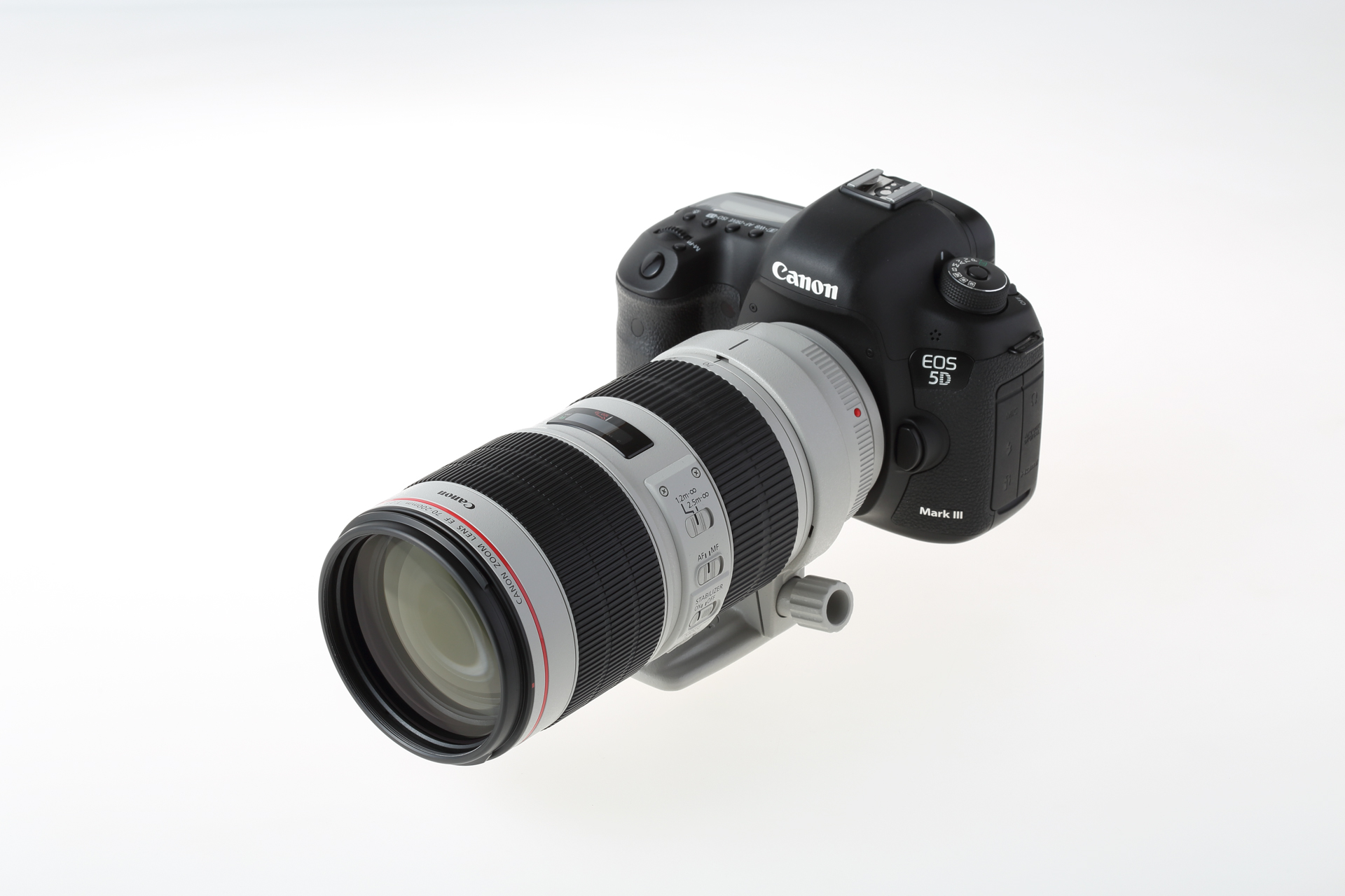 Canon（キヤノン） EF70-200mm F2.8L IS III USM 実写レビュー