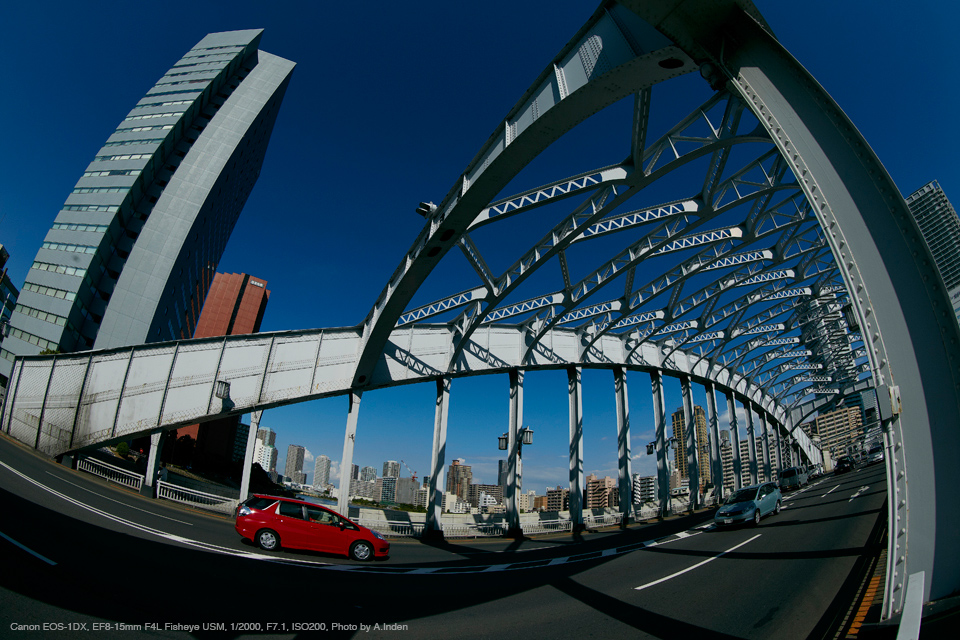 フィッシュアイ☆ キヤノン EF 8-15mm F4 L USM