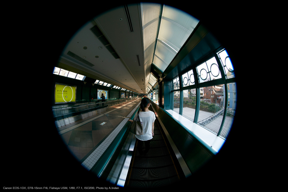 Canon EOS-1D X, EF8-15mm F4L Fisheye USM, 1/60, F7.1, ISO200, Photo by A.Inden