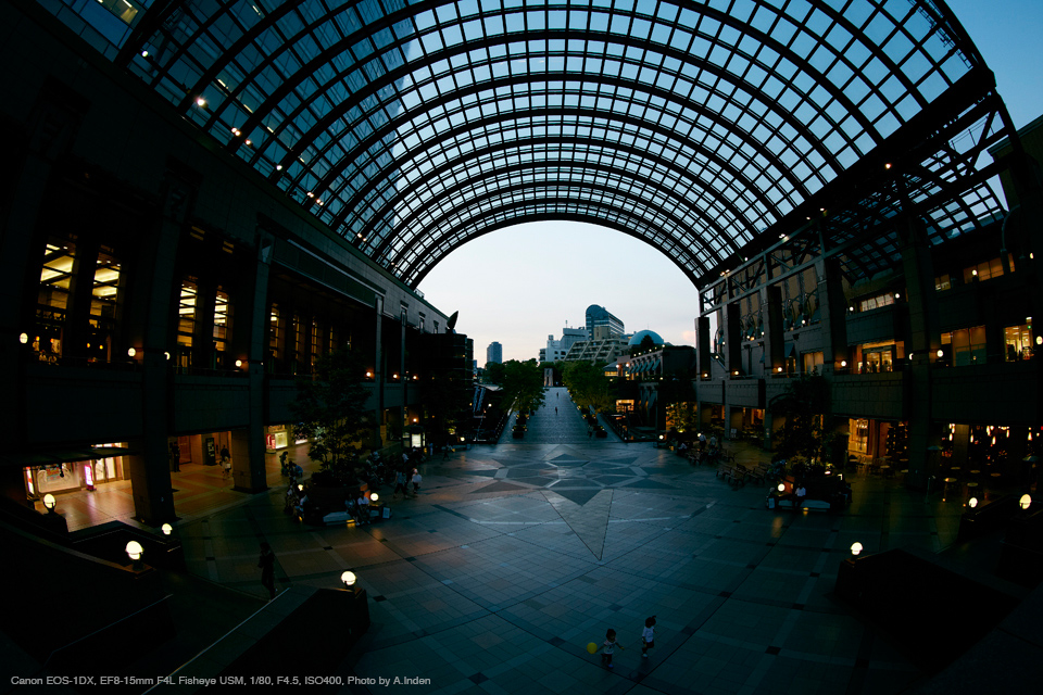 Canon EOS-1D X, EF8-15mm F4L Fisheye USM, 1/80, F4.5, ISO400, Photo by A.Inden