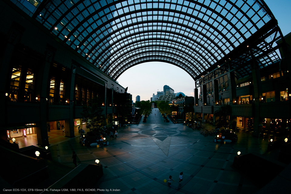 Canon（キヤノン） EF8-15mm F4L フィッシュアイ USM 実写