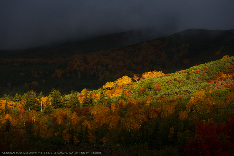 Canon EOS M, EF-M55-200mm F4.5-6.3 IS STM, 1/200, F8, ISO 100, Photo by T.Nakanishi