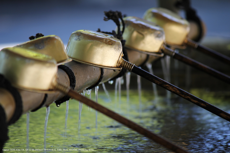 キヤノン canon EF-S55-250mm F4-5.6 IS II