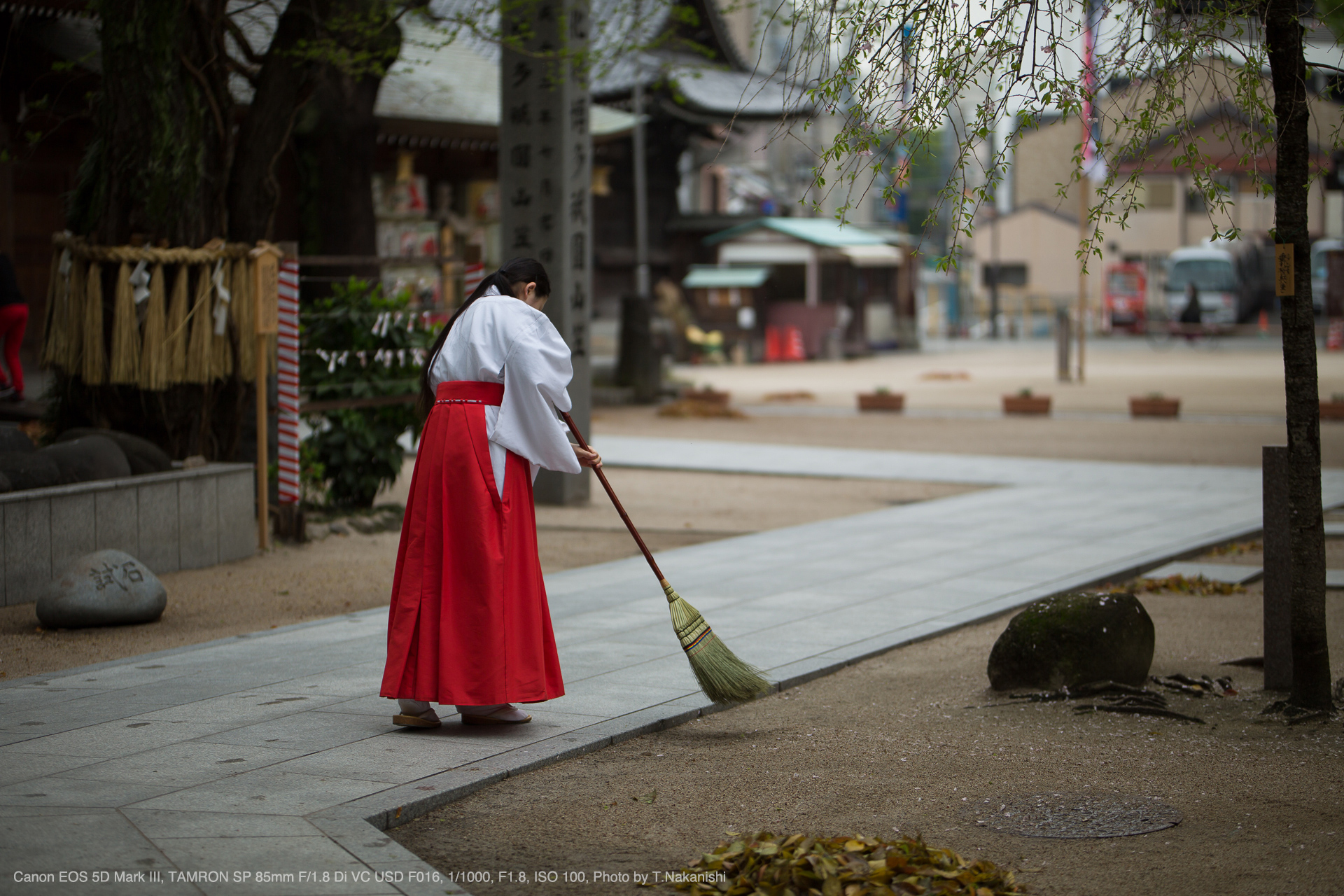 Canon EOS 5D Mark III, TAMRON SP 85mm F/1.8 Di VC USD F016, 1/1000, F1.8, ISO 100, Photo by T.Nakanishi