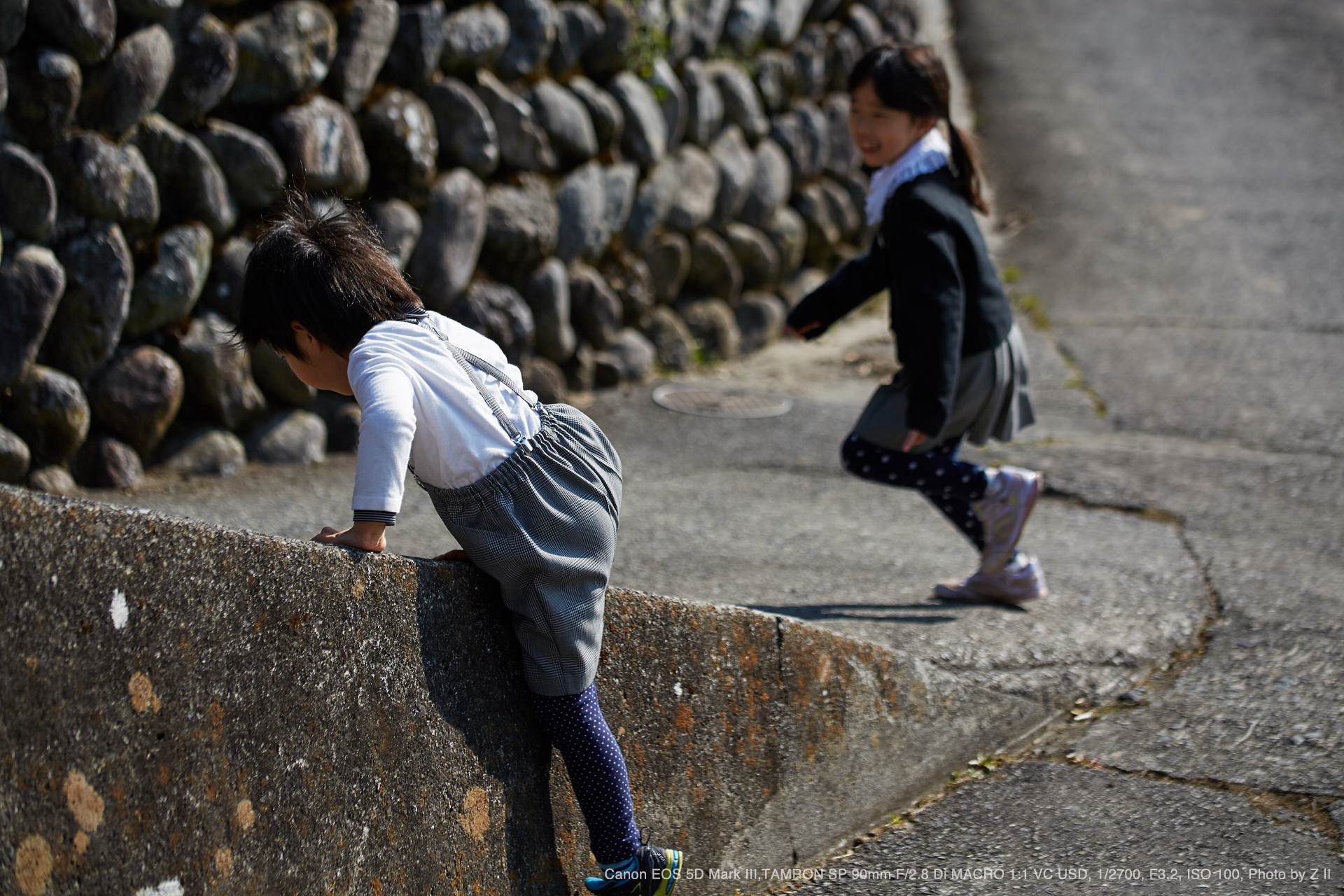 Canon EOS 5D Mark III, TAMRON SP 90mm F/2.8 Di MACRO 1:1 VC USD, 1/2700, F3.2, ISO 100, Photo by Z II