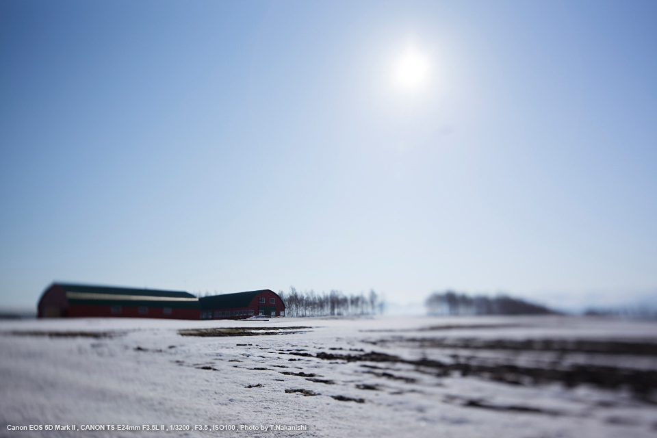 キヤノン Canon TS-E 24mm F3.5L II