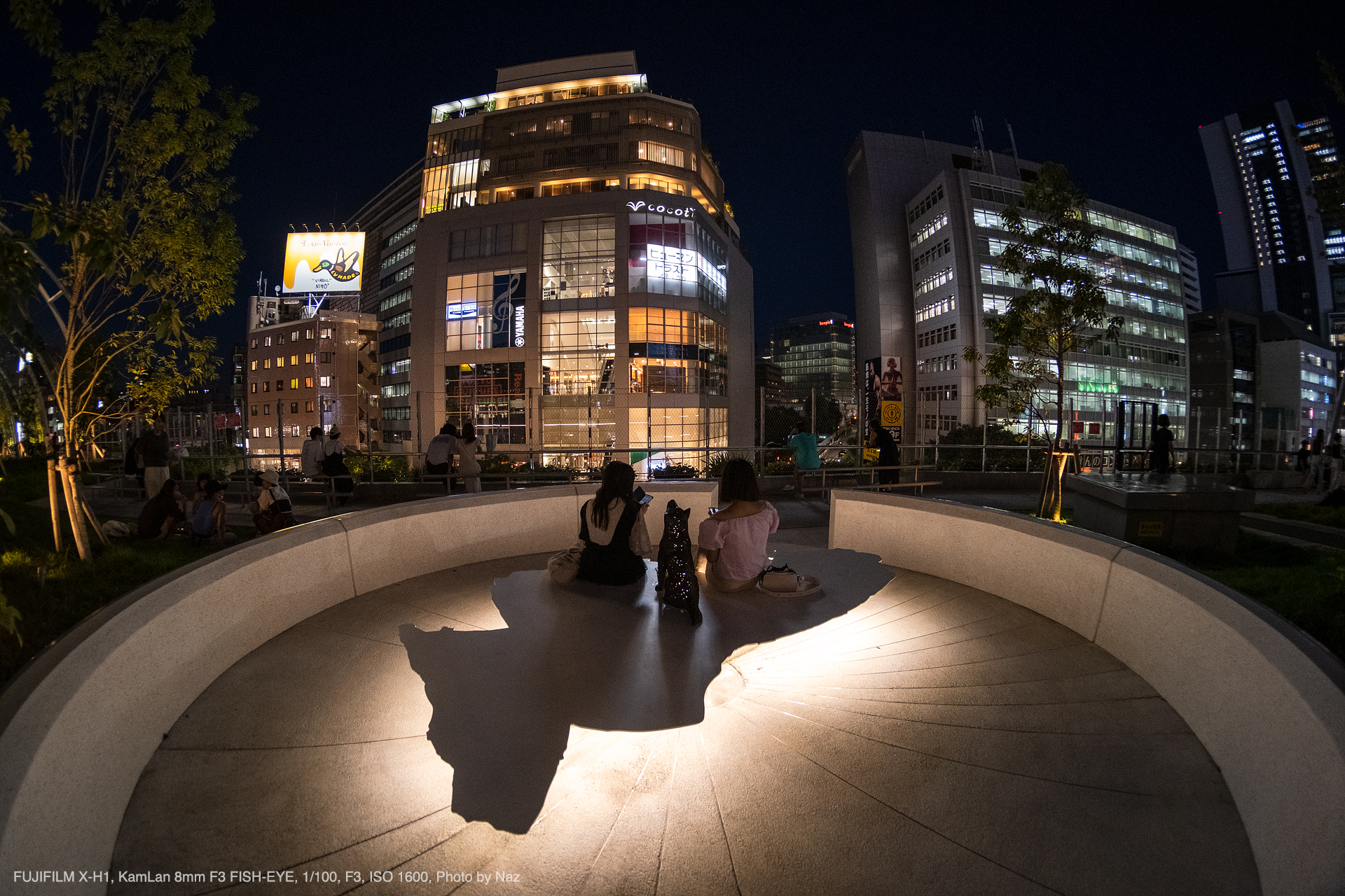 KamLan（カムラン） 8mm F3 FISH-EYE 実写レビュー | フォトヨドバシ