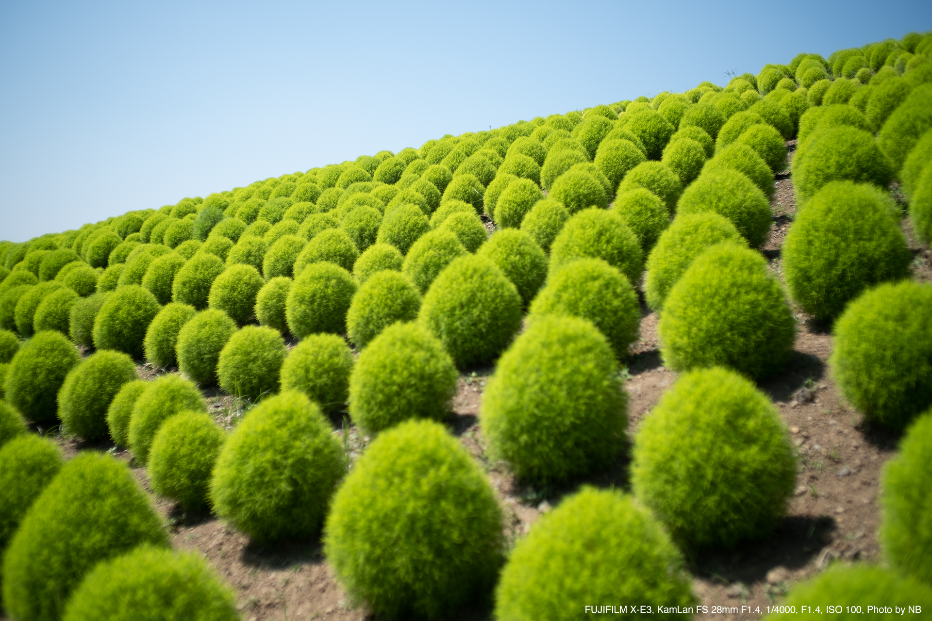 KamLan（カムラン） FS 28mm F1.4 実写レビュー | フォトヨドバシ