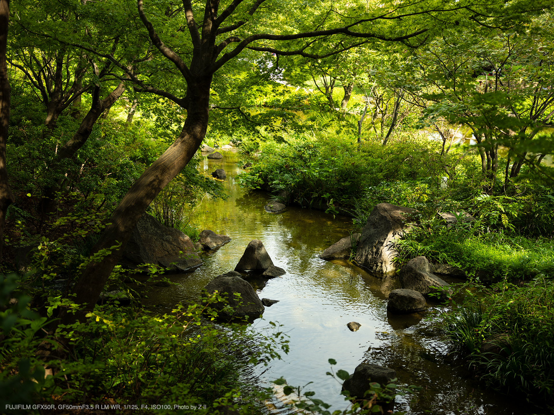 FUJIFILM GFX 50R, GF50mmF3.5 R LM WR, Photo by Z II