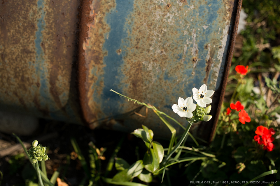 Carl Zeiss Touit 32mm f1.8 【フジXマウント】