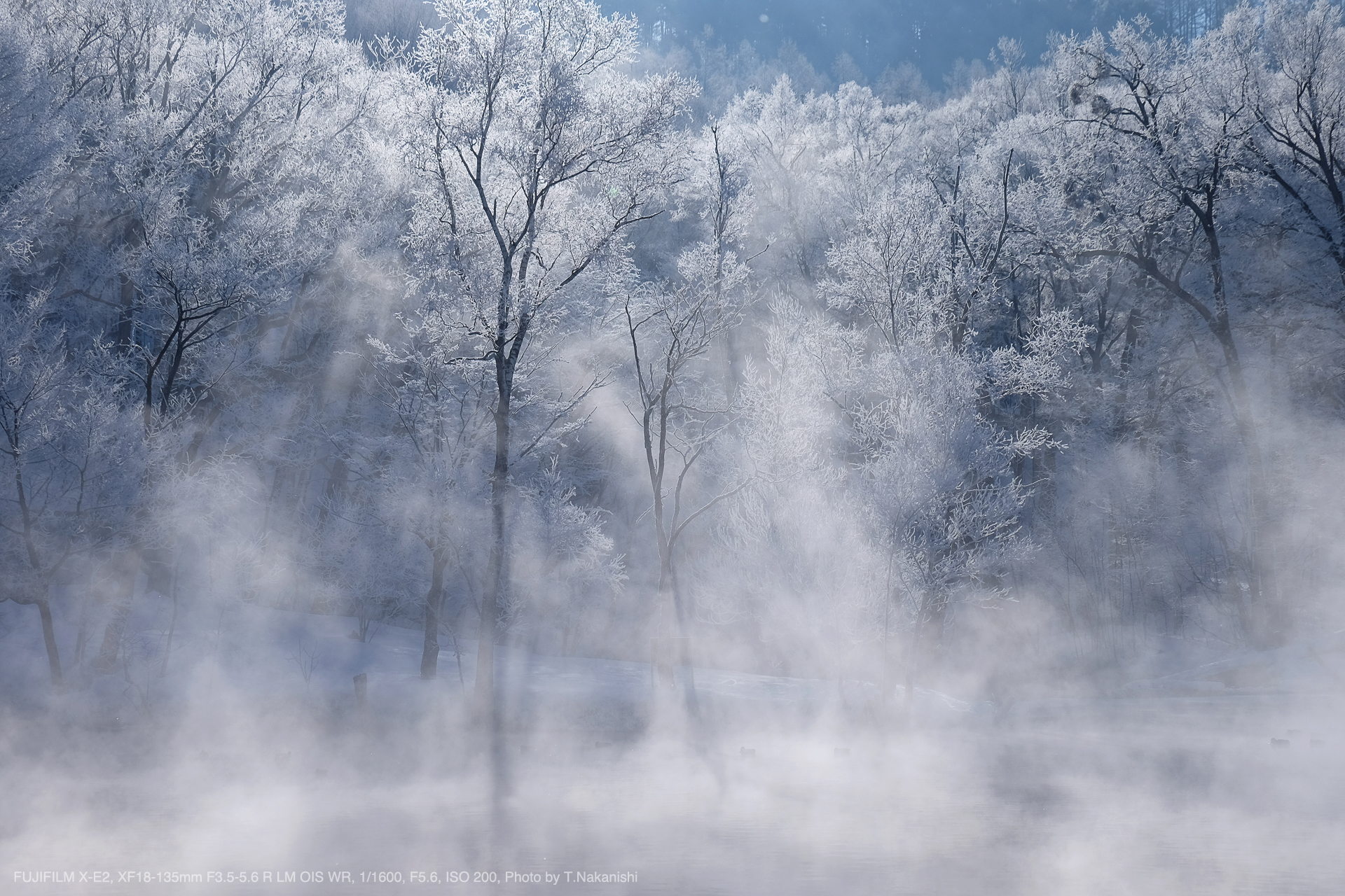 FUJIFILM X-E2, XF18-135mm F3.5-5.6 R LM OIS WR, 1/1600, F5.6, ISO 200, Photo by T.Nakanishi