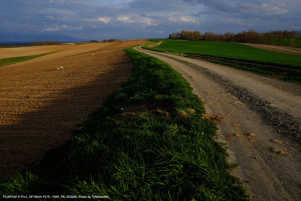 FUJIFILM X-Pro1, XF18mm F2 R, 1/320, F8, ISO200, Photo by T.Nakanishi