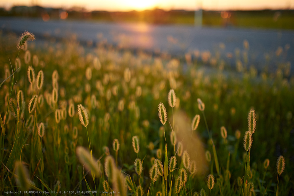 フジノンレンズ　xf23mm f1.4 r