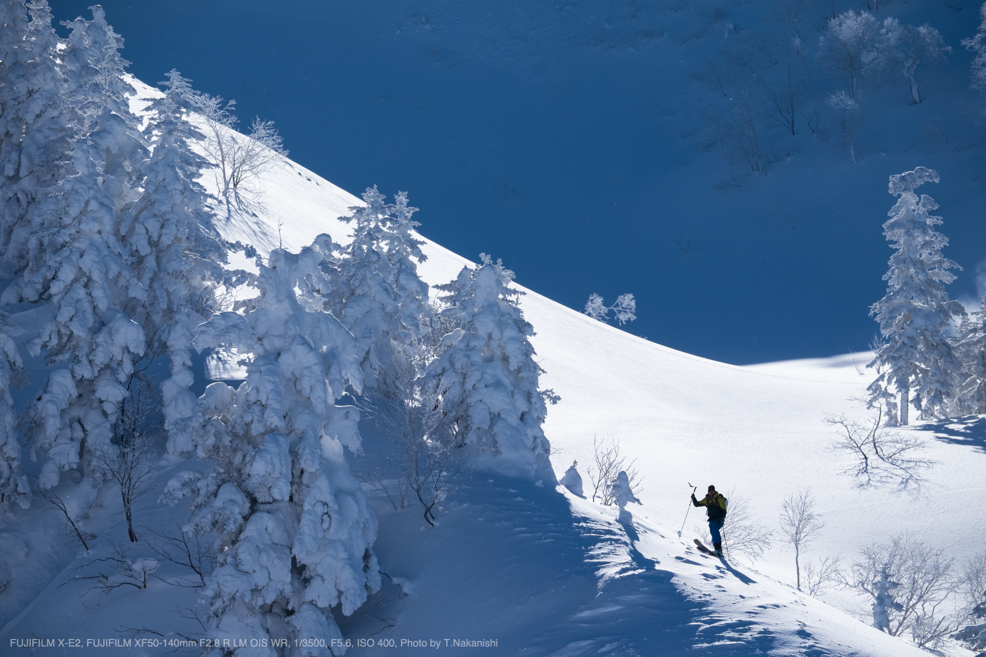 FUJIFILM XF50-140mmF2.8 R LM OIS WR SHOOTING REPORT | PHOTO YODOBASHI