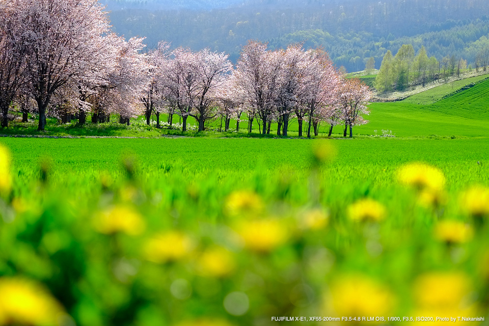 品質保証 フジフイルム XF55-200mm F3.5-4.8 R LM OIS 望遠ズーム