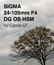 SIGMA 24-105mm F4 DG OS HSM SHOOTING REPORT