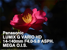 Panasonic LUMIX G VARIO HD 4-140mm F4.0-5.8 ASPH. MEGA O.I.S.