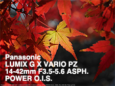 Panasonic LUMIX G X VARIO PZ 14-42mm F3.5-5.6 ASPH. POWER O.I.S.