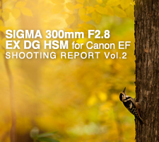 SIGMA APO 300mm F2.8 EX DG HSM for Canon EF SHOOTING REPORT Vol.2