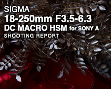 SIGMA 18-250mm F3.5-6.3 DC MACRO HSM  SHOOTING REPORT